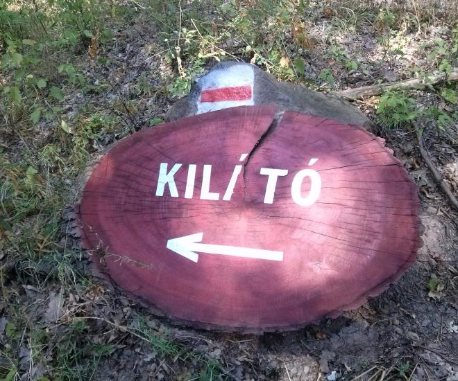 Hímváró-Kiállító